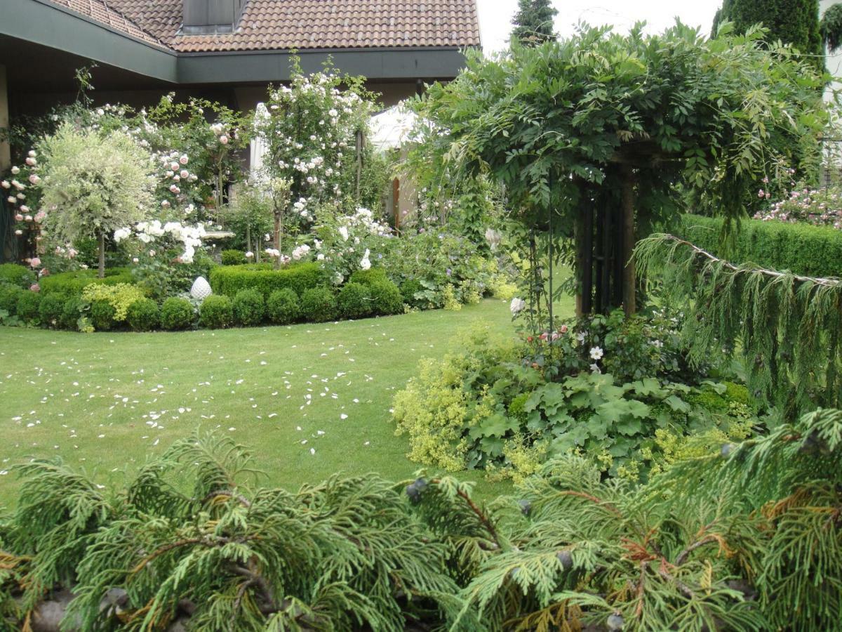 Charming And Cosy Apartment Near Lucerne Romerswil Dış mekan fotoğraf